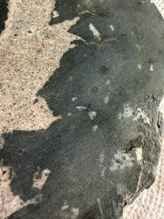 Mingling textures along the margin of a mafic enclave in granite, with captured K-feldspar megacrysts