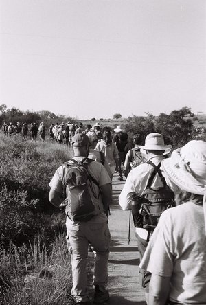 Photograph taken at the back of a long line of people that stretches off into the distance.